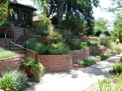 Garden with retaining walls and low water plants