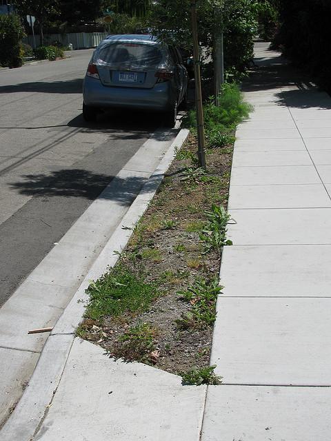 narrow park strip with dirt and weeds