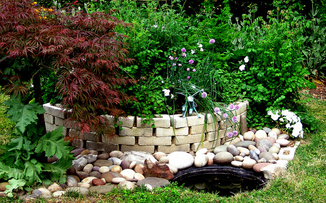 herbs in a raises bed created with landscape pavers