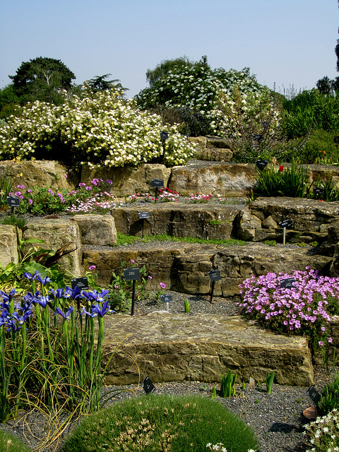Rocky natural looking stairsteps planted with alpine flowers